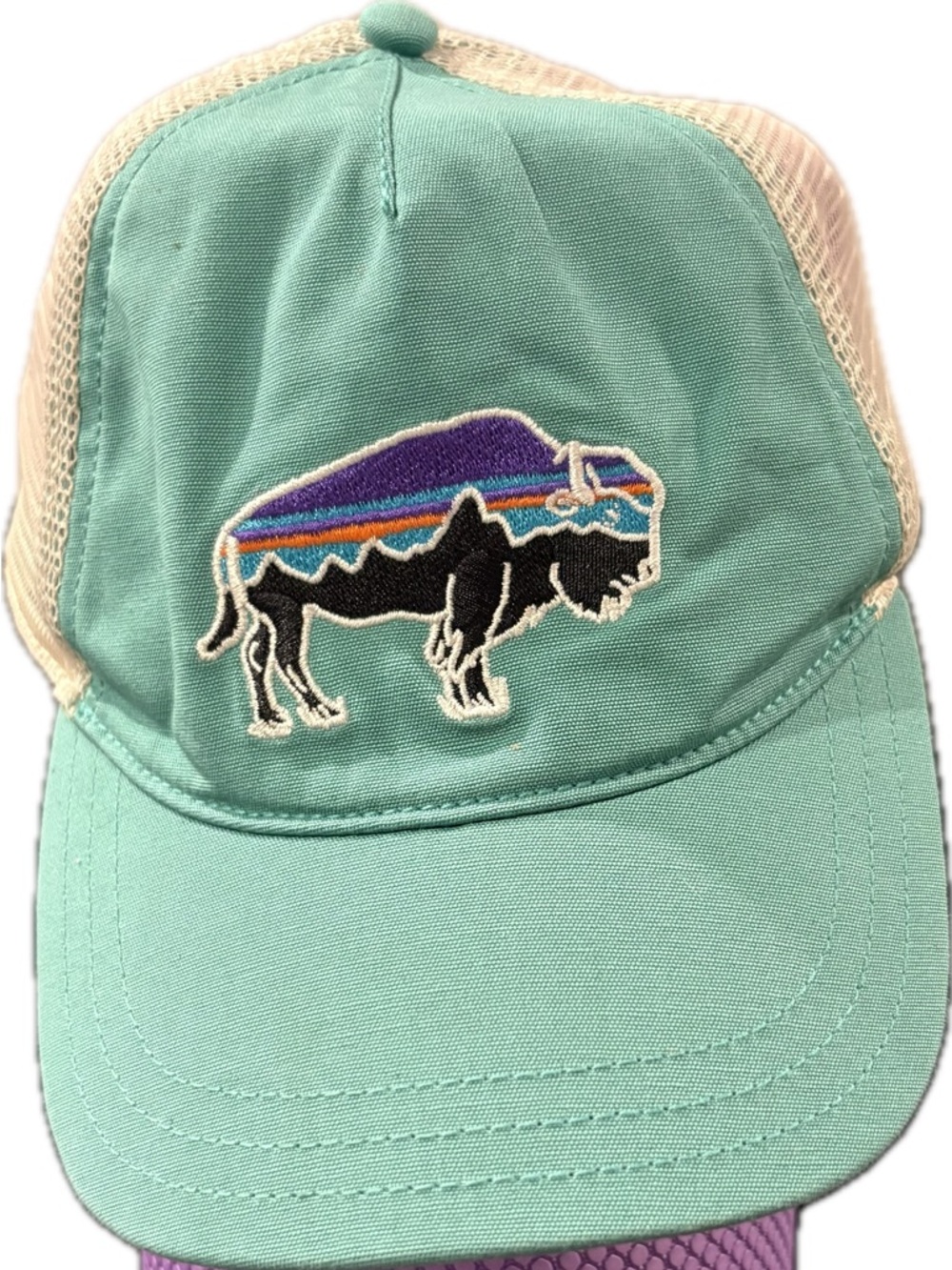 Patagonia Fitz Roy Bison Trucker Hat OSFM Teal Mesh SnapBack Gorpcore Outdoor